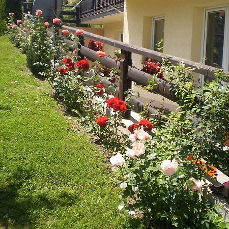 Apartments Vila Velickovic ซลาตีบอร์ ภายนอก รูปภาพ
