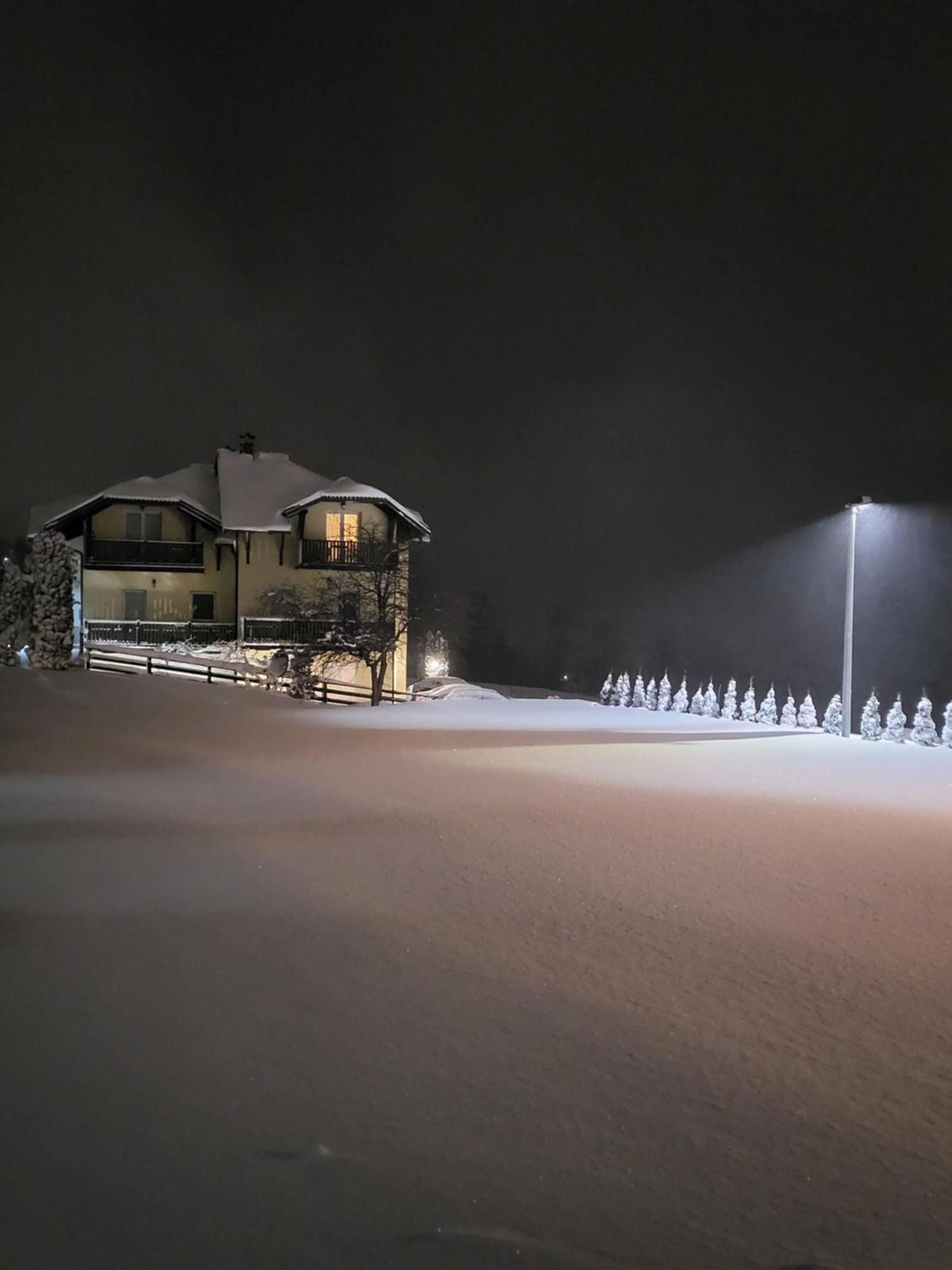 Apartments Vila Velickovic ซลาตีบอร์ ภายนอก รูปภาพ
