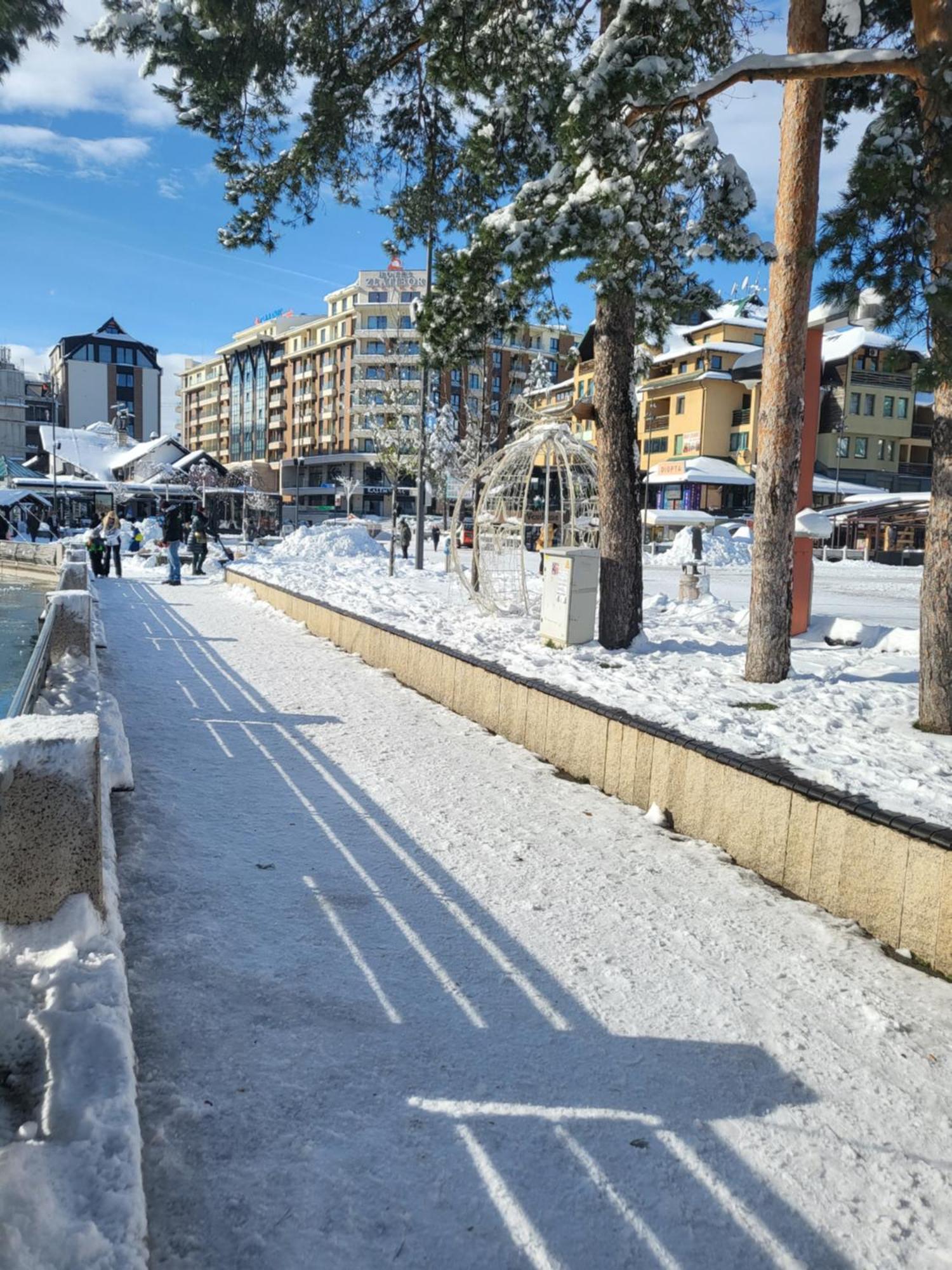 Apartments Vila Velickovic ซลาตีบอร์ ภายนอก รูปภาพ