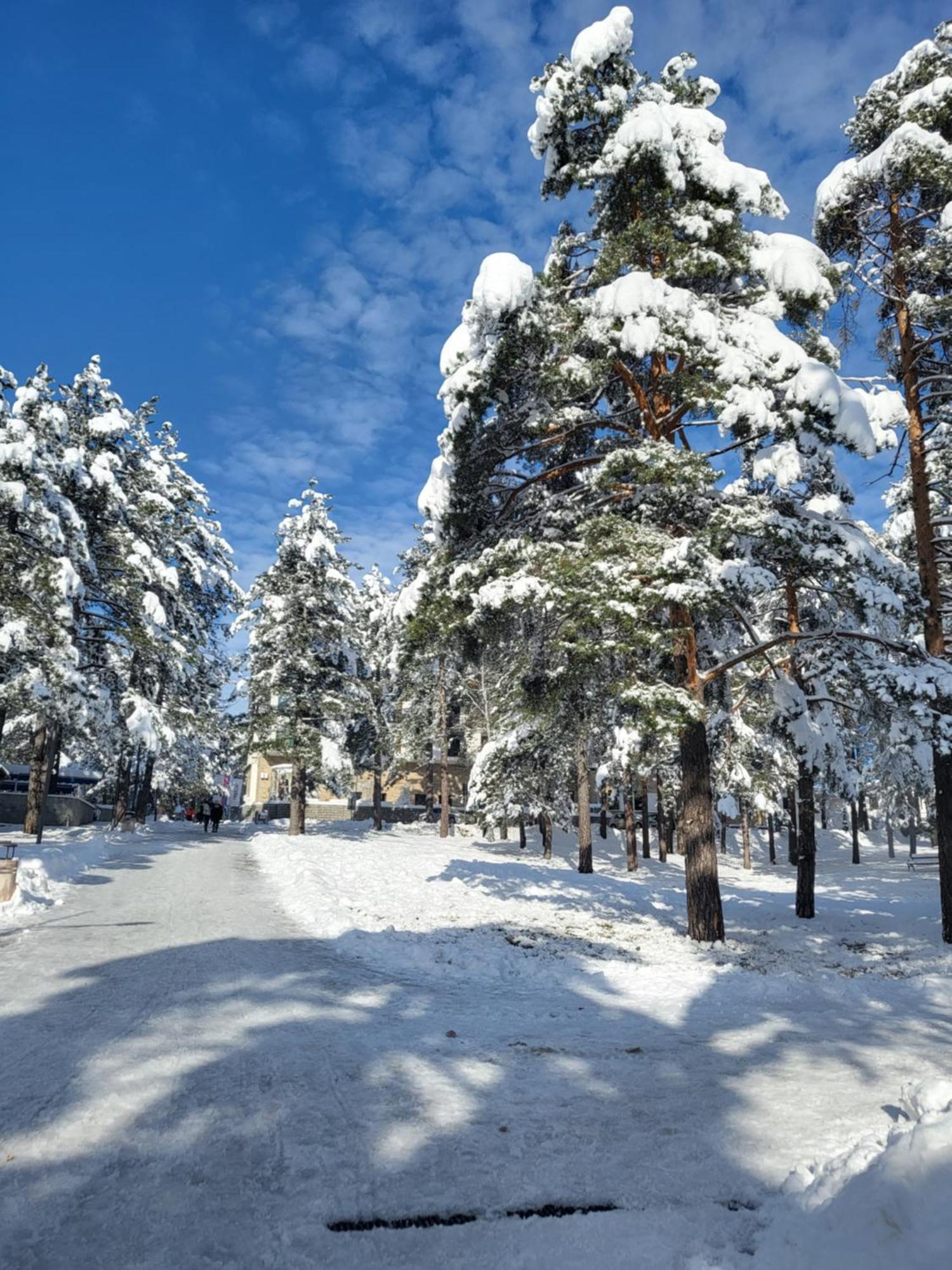 Apartments Vila Velickovic ซลาตีบอร์ ภายนอก รูปภาพ