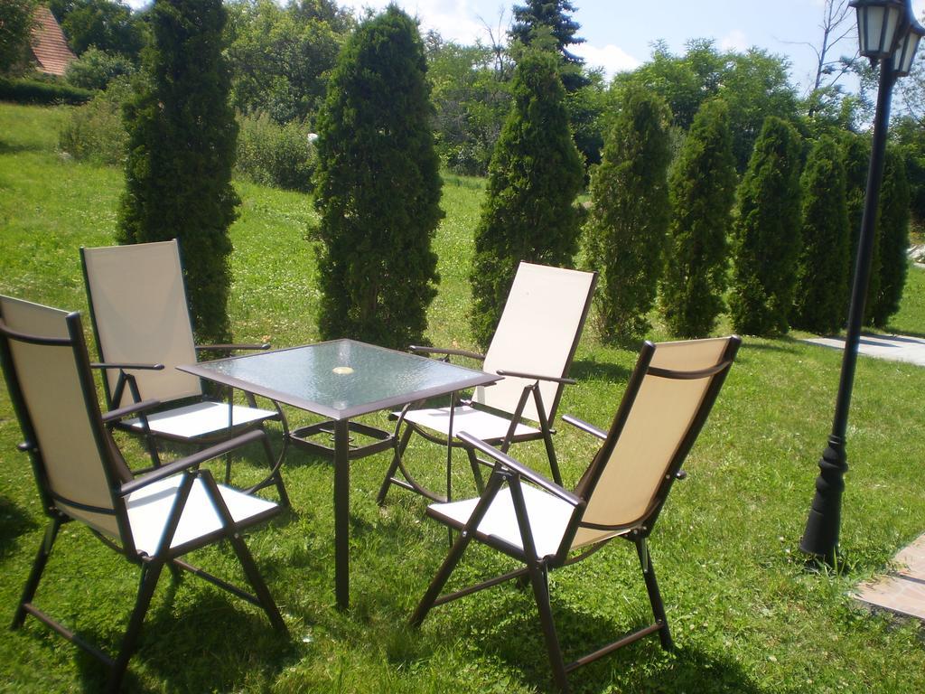 Apartments Vila Velickovic ซลาตีบอร์ ภายนอก รูปภาพ