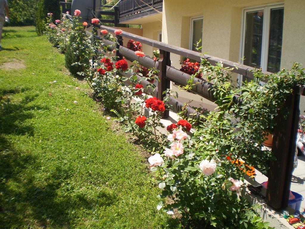 Apartments Vila Velickovic ซลาตีบอร์ ภายนอก รูปภาพ