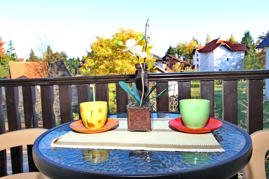 Apartments Vila Velickovic ซลาตีบอร์ ภายนอก รูปภาพ