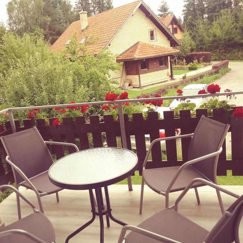 Apartments Vila Velickovic ซลาตีบอร์ ภายนอก รูปภาพ