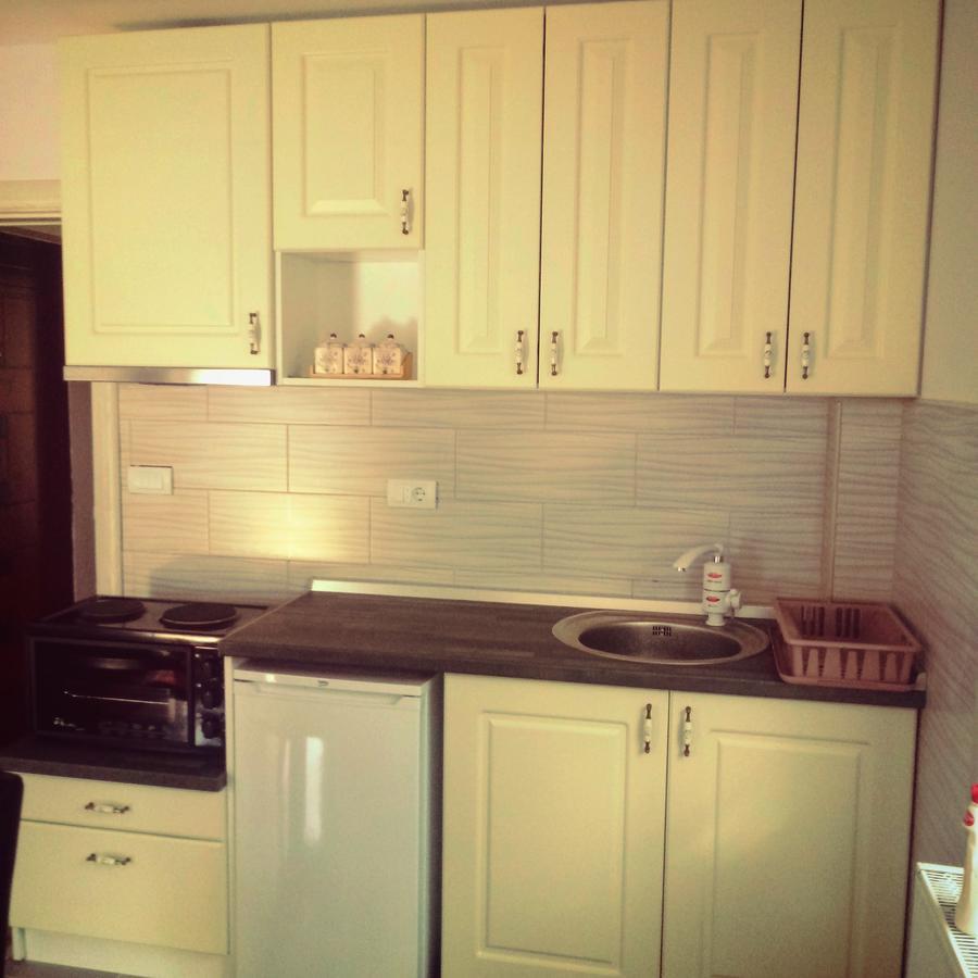 Apartments Vila Velickovic ซลาตีบอร์ ภายนอก รูปภาพ