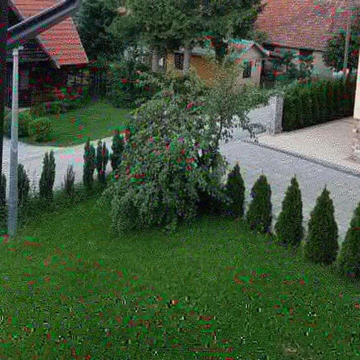Apartments Vila Velickovic ซลาตีบอร์ ภายนอก รูปภาพ