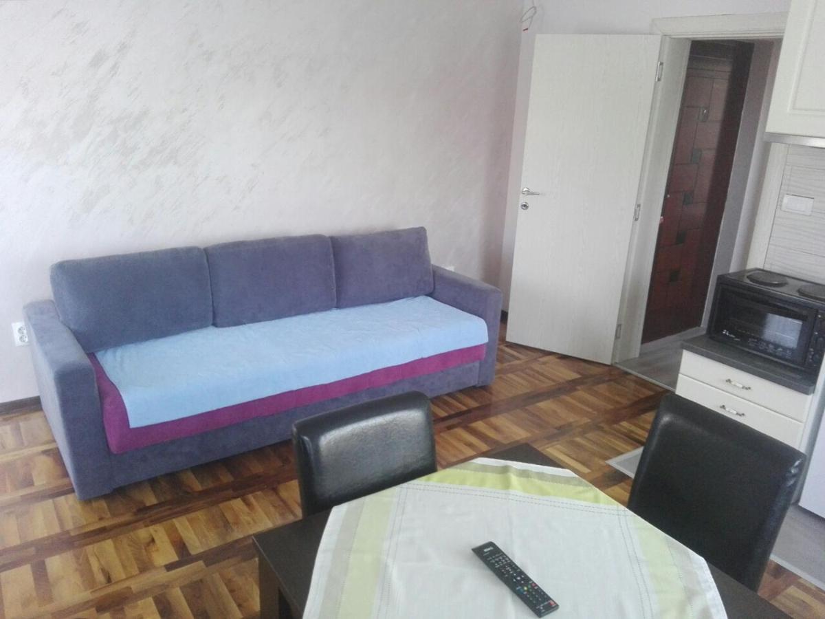 Apartments Vila Velickovic ซลาตีบอร์ ภายนอก รูปภาพ