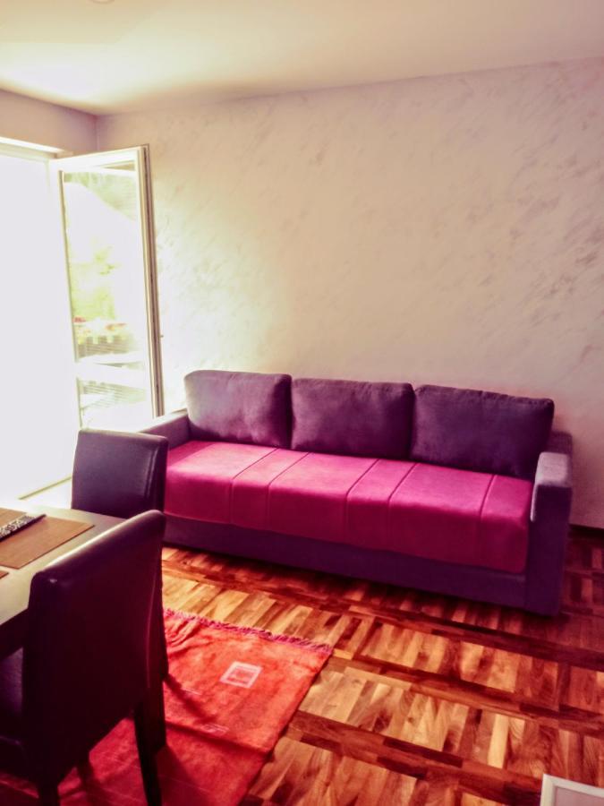 Apartments Vila Velickovic ซลาตีบอร์ ภายนอก รูปภาพ
