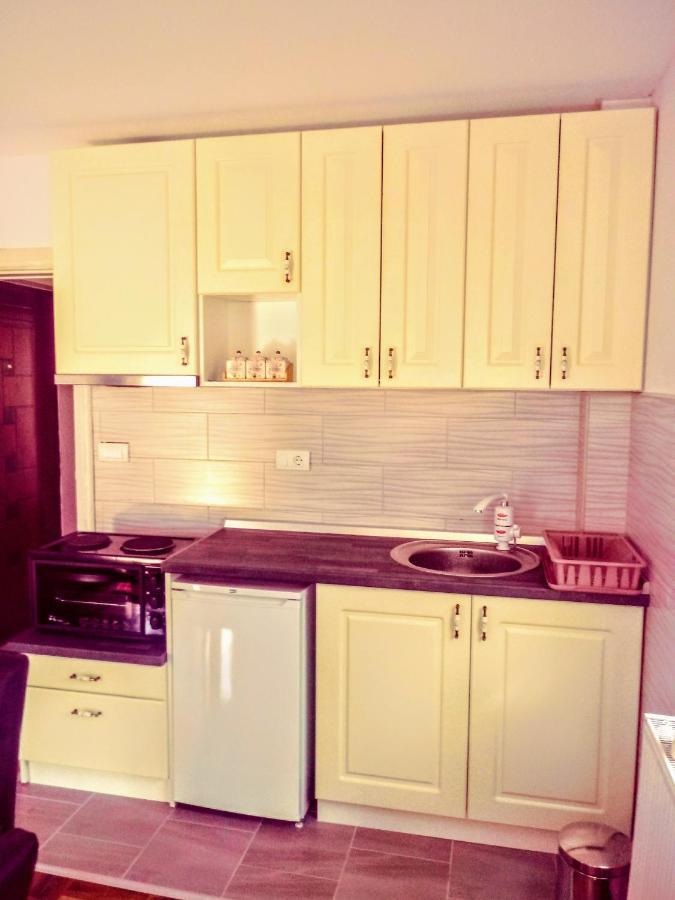 Apartments Vila Velickovic ซลาตีบอร์ ภายนอก รูปภาพ